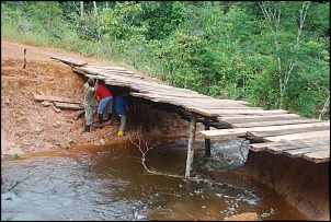 BR-319 Porto Velho a Manaus-amazonia-211.jpg