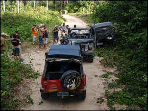 Trilhas No Amazonas-tp12.jpg