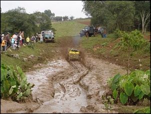 Trilhas no Sul-trilha_santa_cru_027_156.jpg