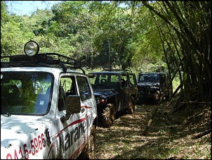 Trilhas Campo Grande Jeep Clube-alegria-e-cacaria-light-270909-024.jpg