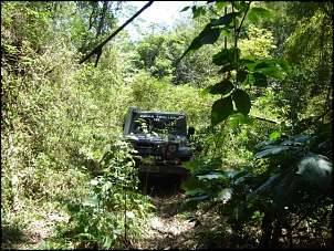 Trilhas Campo Grande Jeep Clube-alegria-e-cacaria-light-270909-031.jpg
