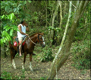 Trilhas Equipe Do Chapeu-dude.jpg
