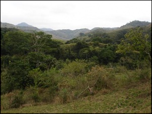 Trilha leve no Rio de Janeiro-paisagem_cacaria_023_382.jpg