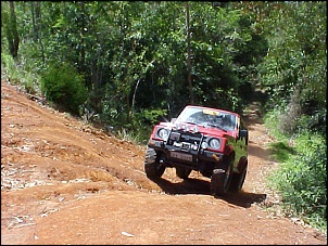 Trilhas no Sul-mvc-004f_201.jpg