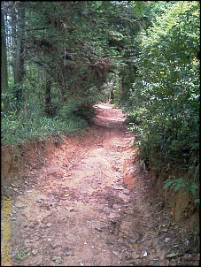-imag0348.jpg