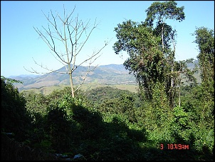 Trilha do Descampado - Barra do Turvo x Eldorado-trilha_barra_do_turvo_03.09.2005_008_160.jpg