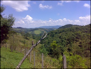 -13032010677.jpg
