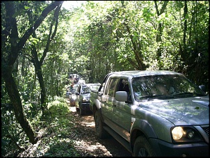 -s4025908.jpg
