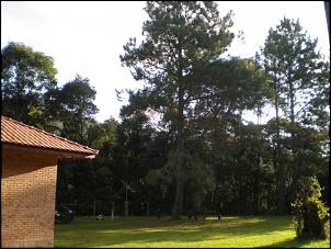 -37-fotos-sitio-marco-maga-sto.-antonio-do-pinhal.jpg