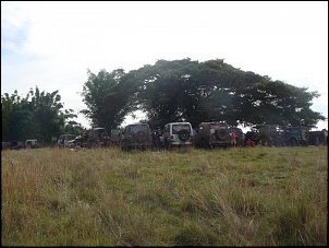 Trilhas no Sul-trilha-jeepbom-029.jpg