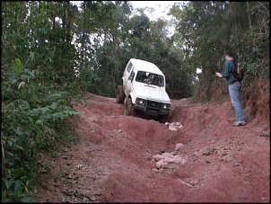 -pinheirinho-027.jpg