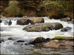 -p2270452.jpg
