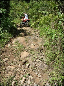 Trilha - Nova Friburgo-foto-percelet-9-.jpg