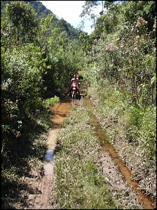 Trilha - Nova Friburgo-foto-percelet-27-.jpg