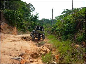 Trilhas No Amazonas-tarr.jpg