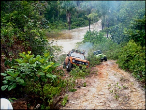 Trilhas No Amazonas-4.jpg