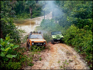 Trilhas No Amazonas-6.jpg