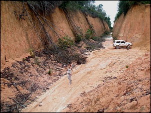 Trilhas No Amazonas-7.jpg