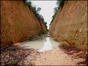 Trilhas No Amazonas-12.jpg