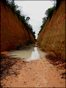 Trilhas No Amazonas-13.jpg