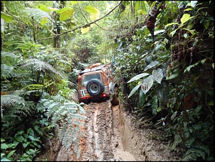 Trilha do 90-90-057.jpg