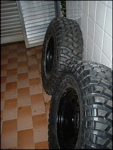 Trilha de Castelhanos - Ilhabela-f-75-015.jpg