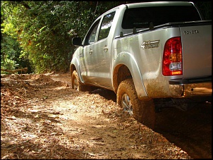 Trilha de Castelhanos - Ilhabela-2.jpg