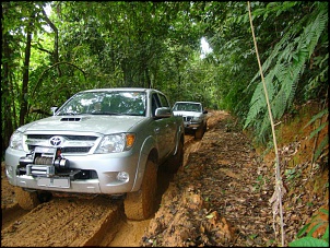 Trilha de Castelhanos - Ilhabela-4-.jpg