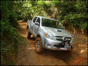 Trilha de Castelhanos - Ilhabela-6-.jpg