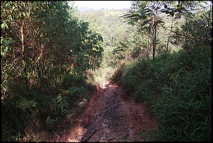 Acidente na Trilha da Placa.-fotos-146.jpg