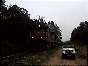 Trilha aldeia indigena-serra do mar (parelheiros)-p27-02-11_13.44-1-.jpg