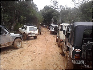 Trilha aldeia indigena-serra do mar (parelheiros)-p23-07-11_13.41.jpg