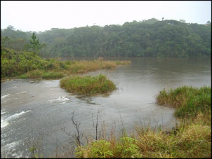 Trilha aldeia indigena-serra do mar (parelheiros)-s6006690.jpg