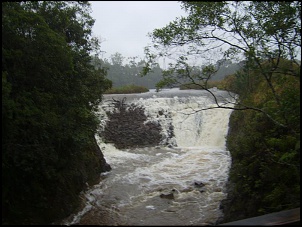 Trilha aldeia indigena-serra do mar (parelheiros)-s6006694.jpg