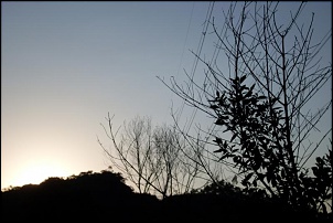 Trilha da meia noite-itapecerica da serra-sp-sdc11446.jpg