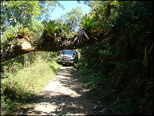 Offriburgo - Trilhas e passeios-trilha-cascatinha-sao-lourenco-01-10-11-045.jpg