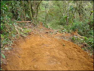 Offriburgo - Trilhas e passeios-trilha-cascatinha-sao-lourenco-01-10-11-056.jpg