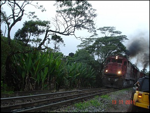 Trilha aldeia indigena-serra do mar (parelheiros)-dsc09401.jpg