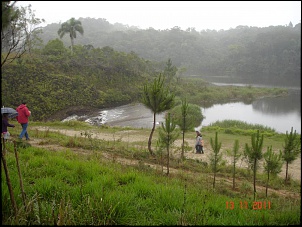 Trilha aldeia indigena-serra do mar (parelheiros)-dsc09416.jpg