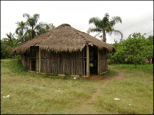 Trilha aldeia indigena-serra do mar (parelheiros)-ultima-importacao-007.jpg