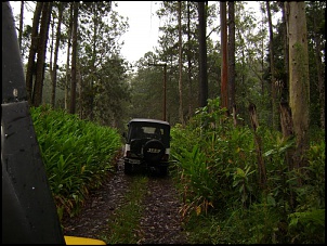 Trilha aldeia indigena-serra do mar (parelheiros)-ultima-importacao-037.jpg