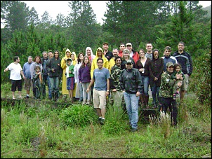 Trilha aldeia indigena-serra do mar (parelheiros)-ultima-importacao-104.jpg