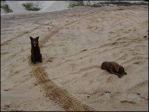 Trilha leve no Rio de Janeiro-imagem_018_784.jpg