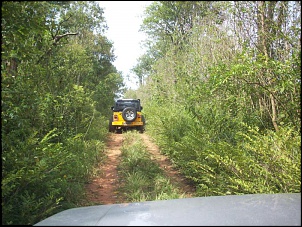 Trilha da primevera-itapecerica da serra-sp-site9.jpg