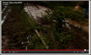 Trilha aldeia indigena-serra do mar (parelheiros)-cinta.jpg