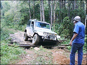 Trilha aldeia indigena-serra do mar (parelheiros)-dsc-0000237.jpg