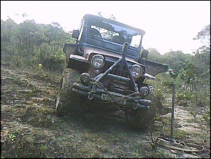 Trilha aldeia indigena-serra do mar (parelheiros)-dsc-0000317.jpg