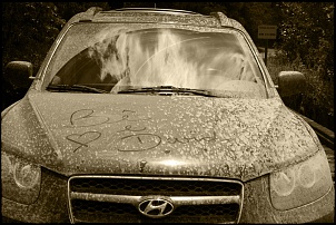 -img_4714.jpg