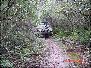 Trilha de Pedrinhas - Ilha Comprida/SP-trilha_5.jpg