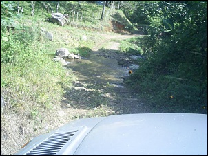 -s4027950.jpg